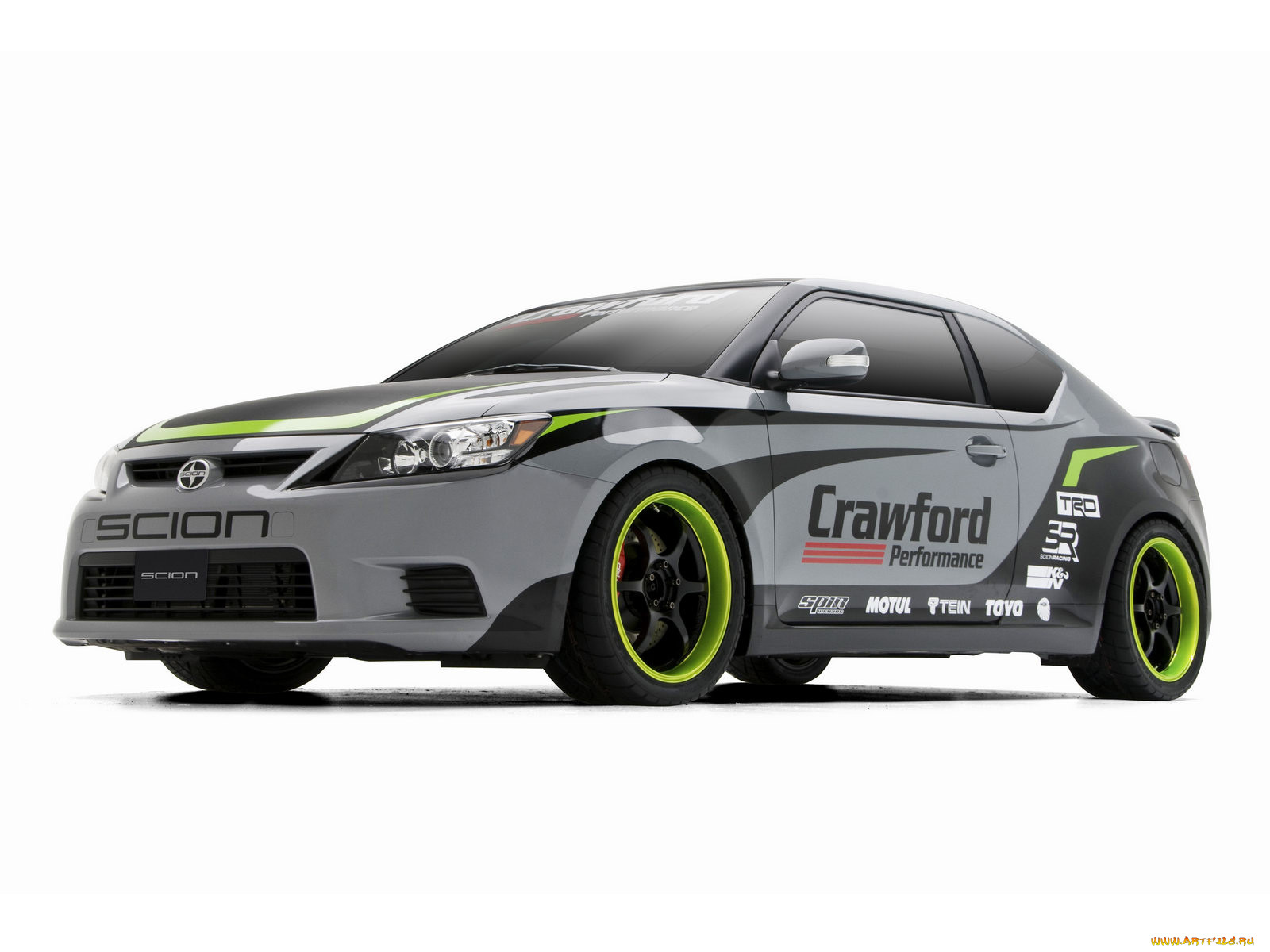 , scion